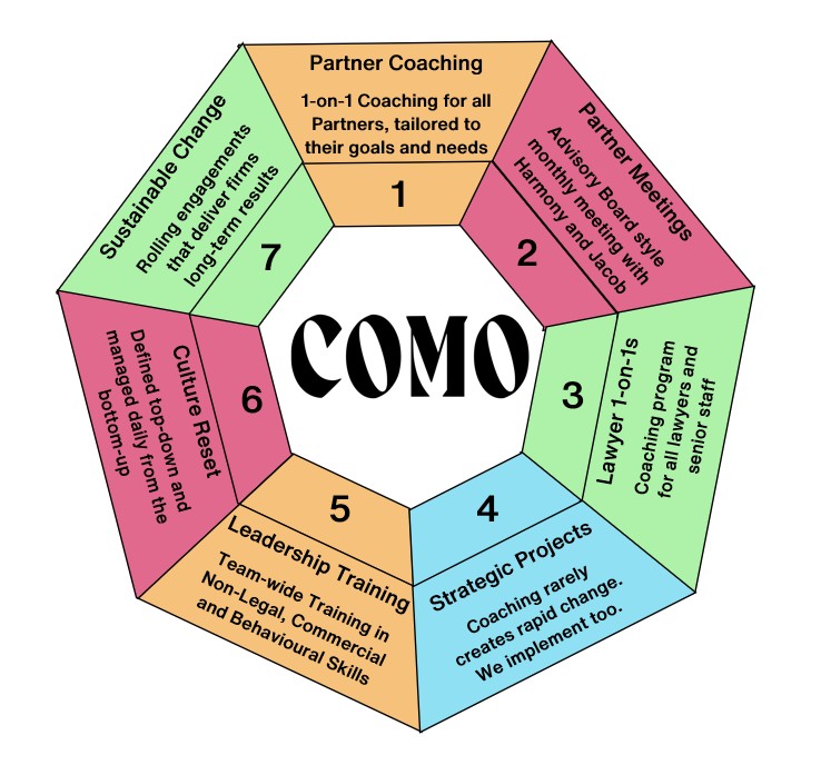 Transformational Business Coaching for Female-Led Law Firms and Female Partners